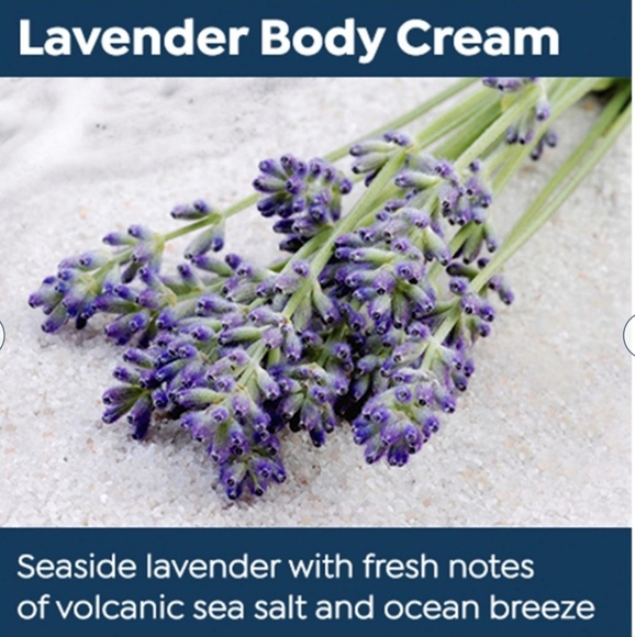 Auli Bakuchiol Rich Body Cream Duo - Picture 2 of 12